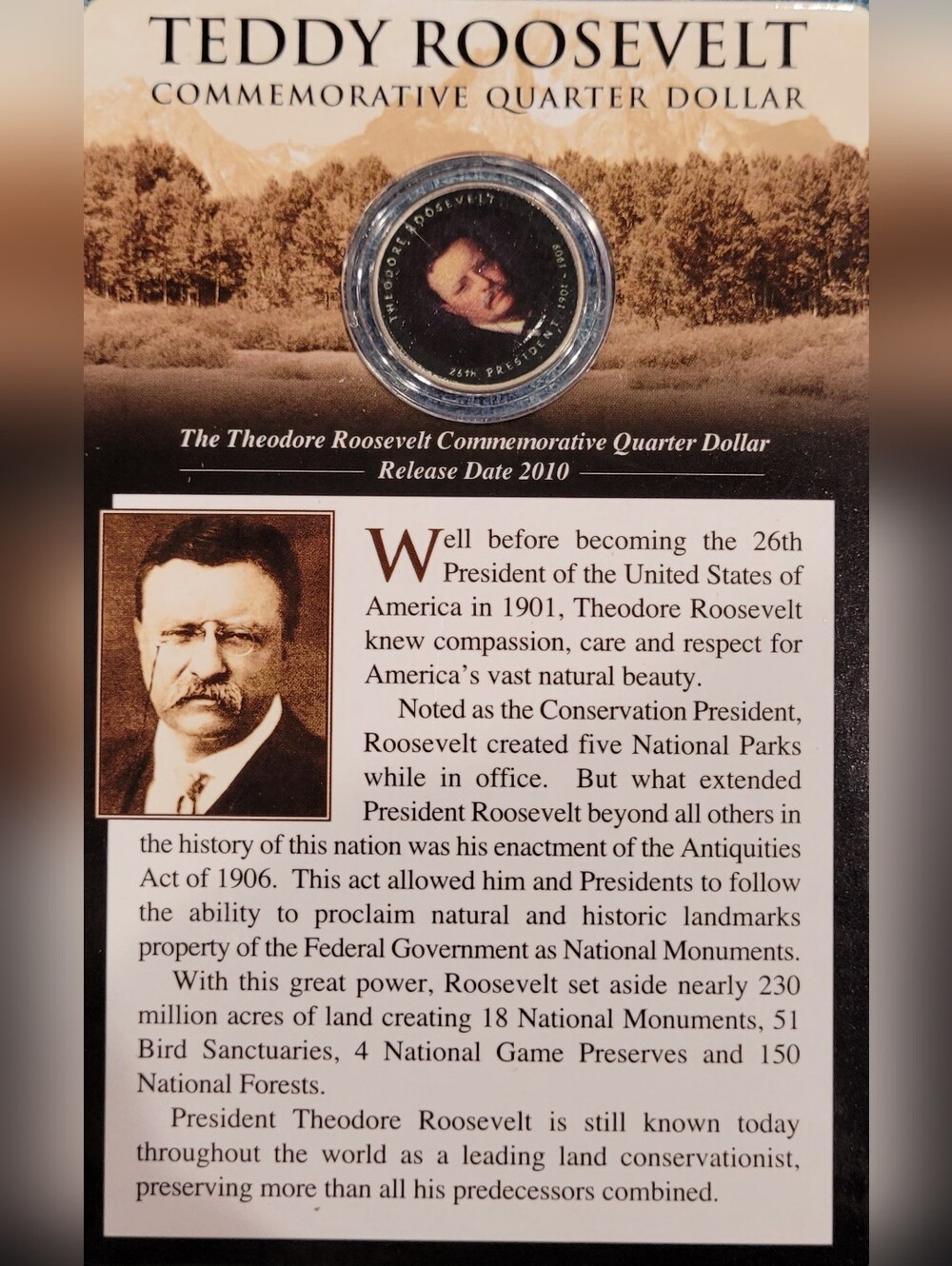 Theodore Roosevelt Commemorative Quarter Display - Brown and Gold